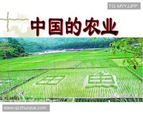 中国体坛崛起之路：探索竞技体育的多元化发展与未来趋势