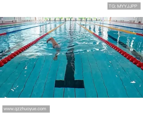 自由泳技术全面解析 从基础动作到进阶技巧的全方位指南